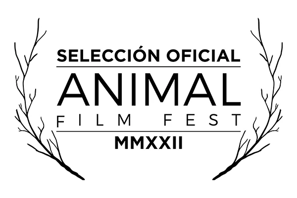 Festival 08